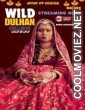 Wild Dulhan (2024) NeonX Original