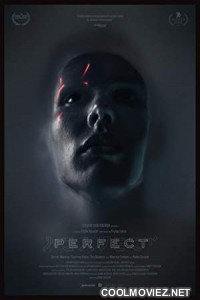 Perfect (2019) English Movie